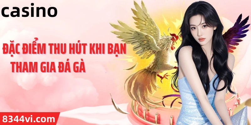 Hình ảnh quảng cáo của 5699 hiển thị nền tảng và các lợi ích